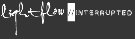 Mark Corti: wildlife and travel photography